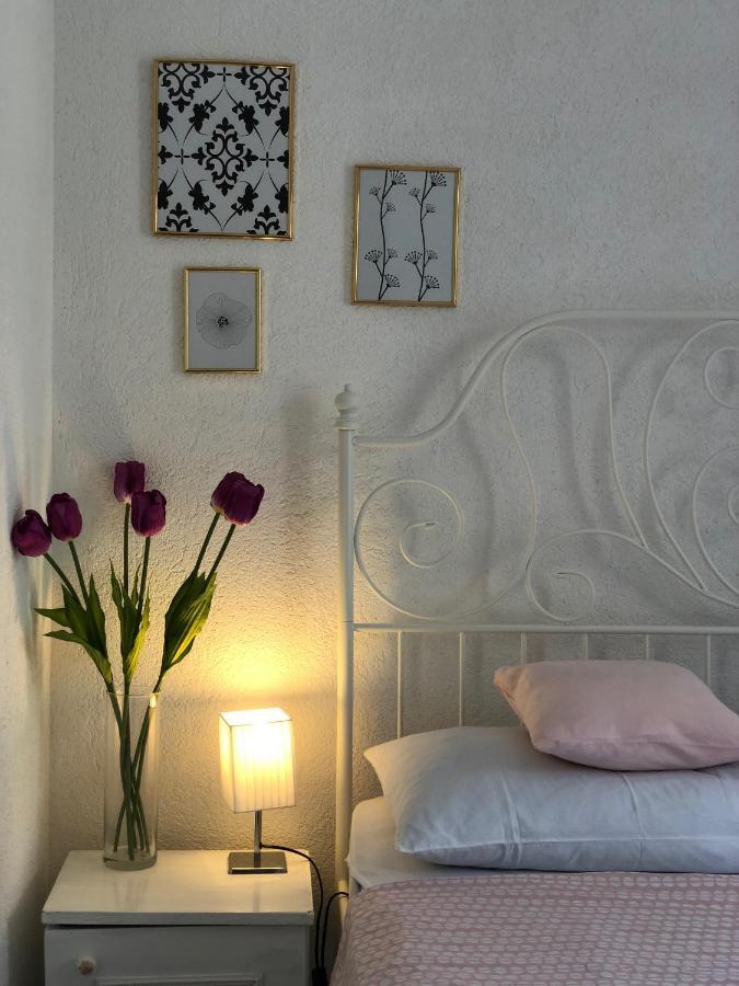 Vila Luka Slano Extérieur photo